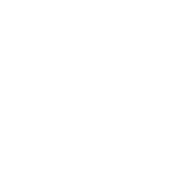 VideoIcon